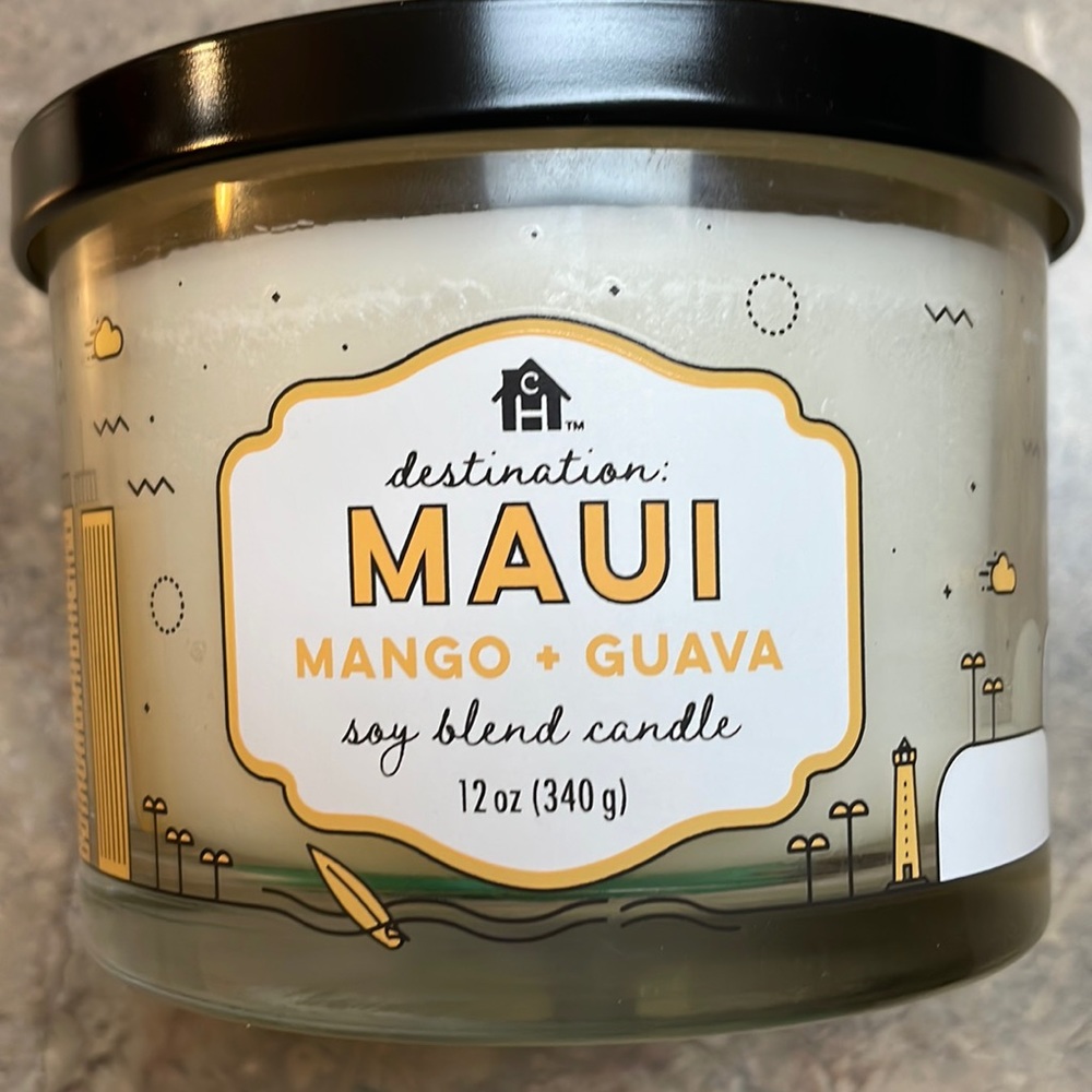 Complete Home Destination Candle.  New.  Never burned